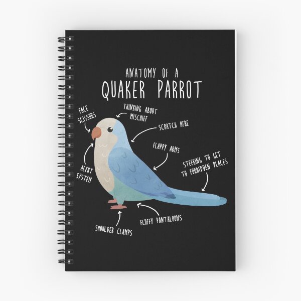 Item preview, Blue Quaker Anatomy designed and sold by Clara Hollins.