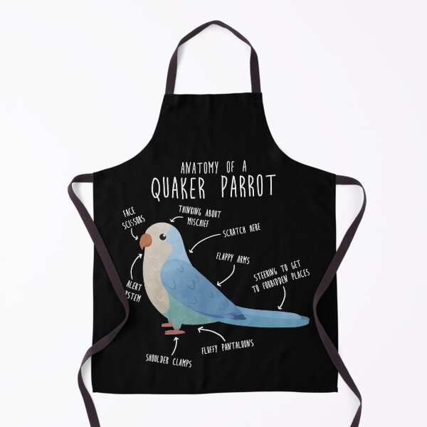 Item preview, Blue Quaker Anatomy designed and sold by Clara Hollins.
