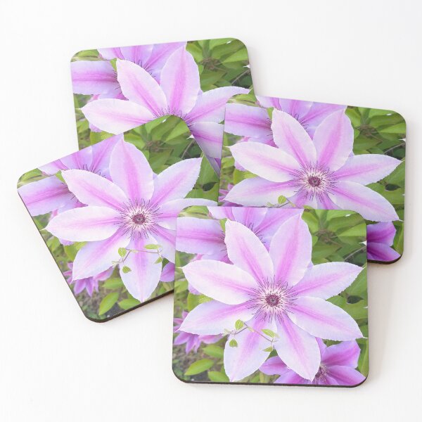 Item preview, Purple Clematis Flowers designed and sold by MooseDogPhotos.