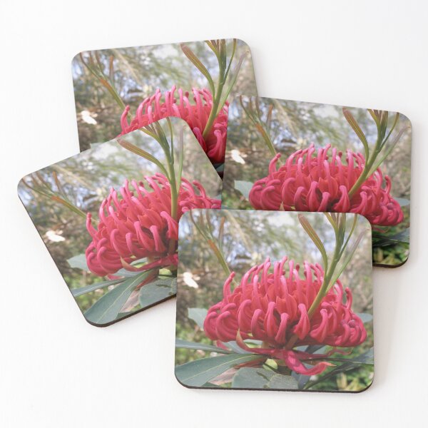 Item preview, Waratah (Telopea), NSW, Australia designed and sold by Cobargo South Coast.