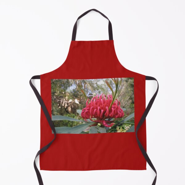 Item preview, Waratah (Telopea), NSW, Australia designed and sold by Cobargo South Coast.