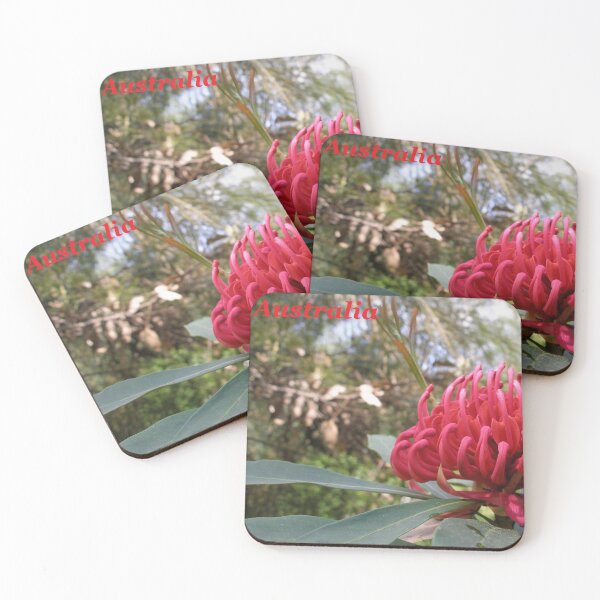 Item preview, Waratah (Telopea), NSW, Australia designed and sold by Cobargo South Coast.