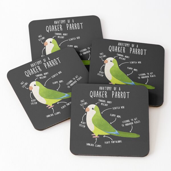 Item preview, Green Quaker Anatomy designed and sold by Clara Hollins.