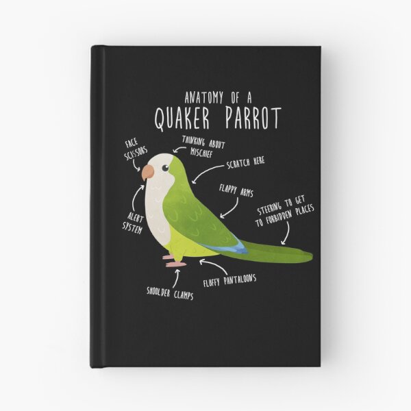 Item preview, Green Quaker Anatomy designed and sold by Clara Hollins.