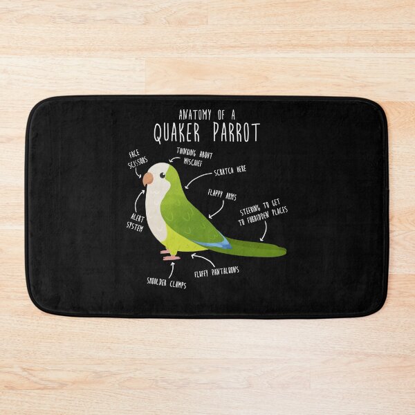 Item preview, Green Quaker Anatomy designed and sold by Clara Hollins.