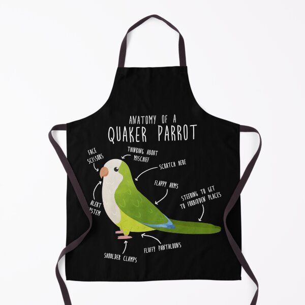 Item preview, Green Quaker Anatomy designed and sold by Clara Hollins.