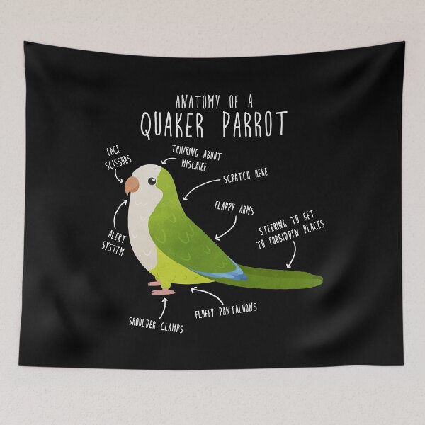Item preview, Green Quaker Anatomy designed and sold by Clara Hollins.