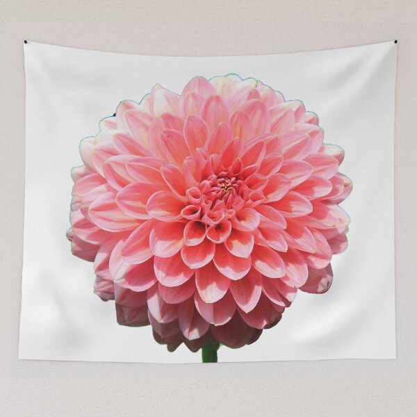 Item preview, Dahlia Flower designed and sold by OurGorgeouspets.