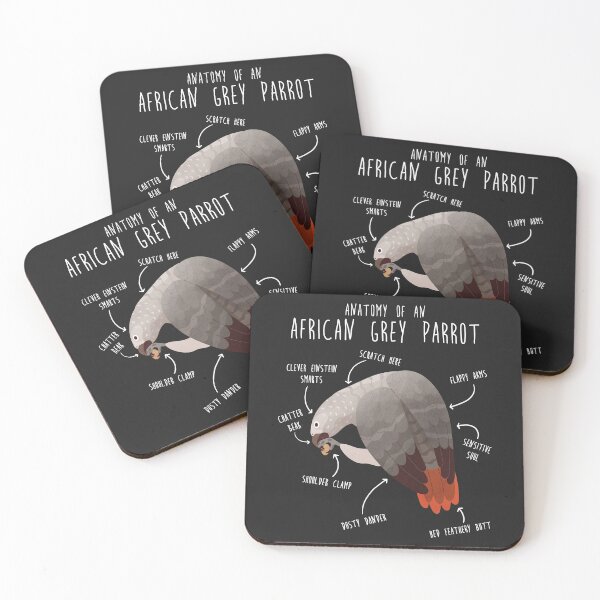 Item preview, African Grey Anatomy designed and sold by Clara Hollins.