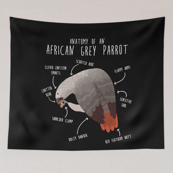 Item preview, African Grey Anatomy designed and sold by Clara Hollins.