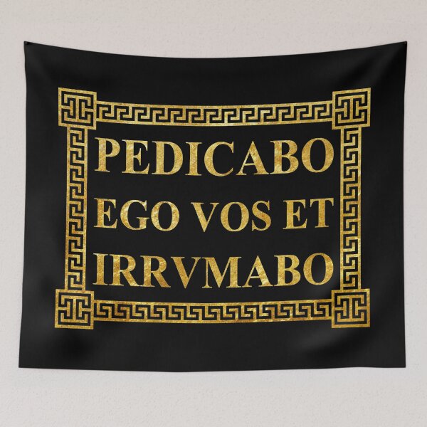 Item preview, Catullus (Carmen 16) quote designed and sold by DotorEaon.