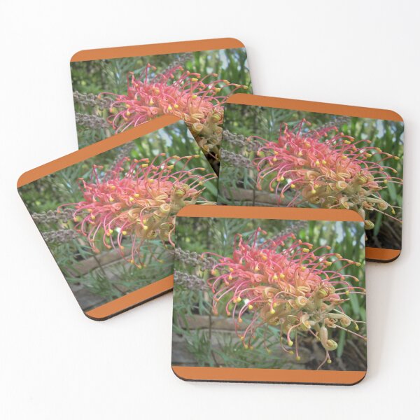 Item preview, Grevillea flower, NSW, Australia designed and sold by Cobargo South Coast.