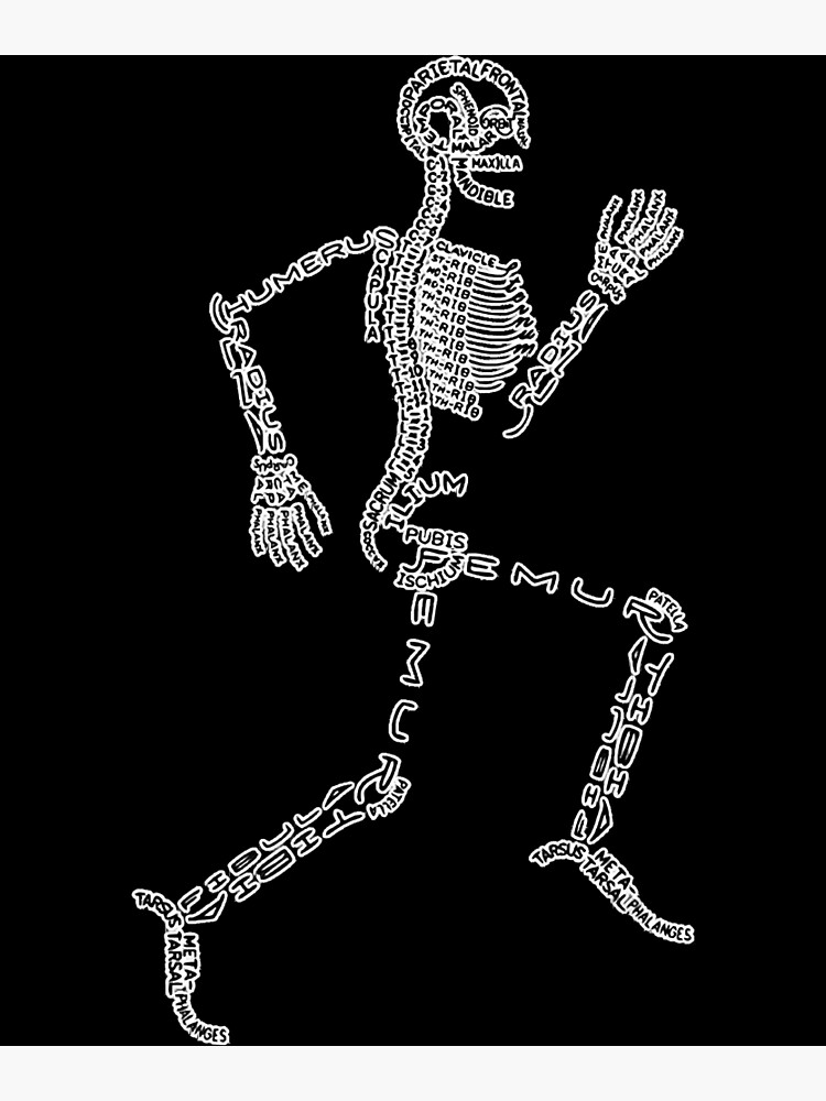 Discover Anatomy Labels Human Skeleton Running Bone Names for Geeks Premium Matte Vertical Poster