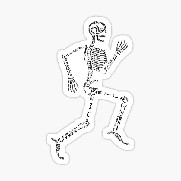 Item preview, Anatomy Labels Human Skeleton Running Bone Names for Geeks designed and sold by Howlholy84.
