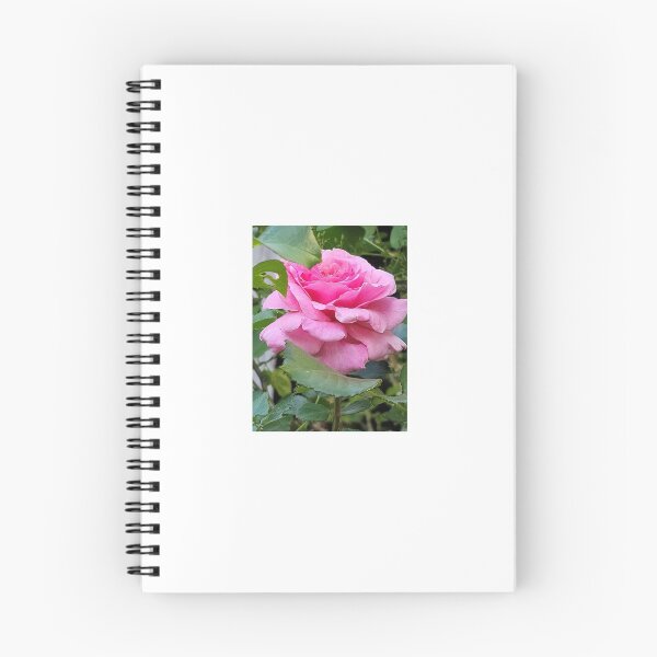 Item preview, The Rose designed and sold by cgray1221.