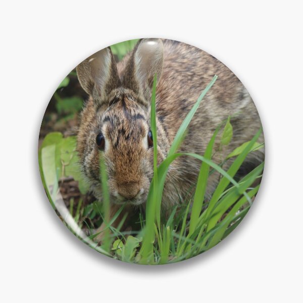 Item preview, Cottontail Peeking through Grass designed and sold by LisaNaturePhoto.