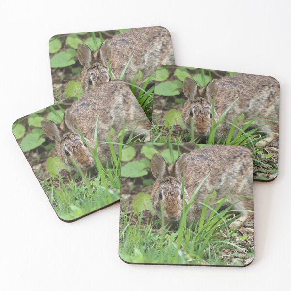 Item preview, Cottontail Peeking through Grass designed and sold by LisaNaturePhoto.