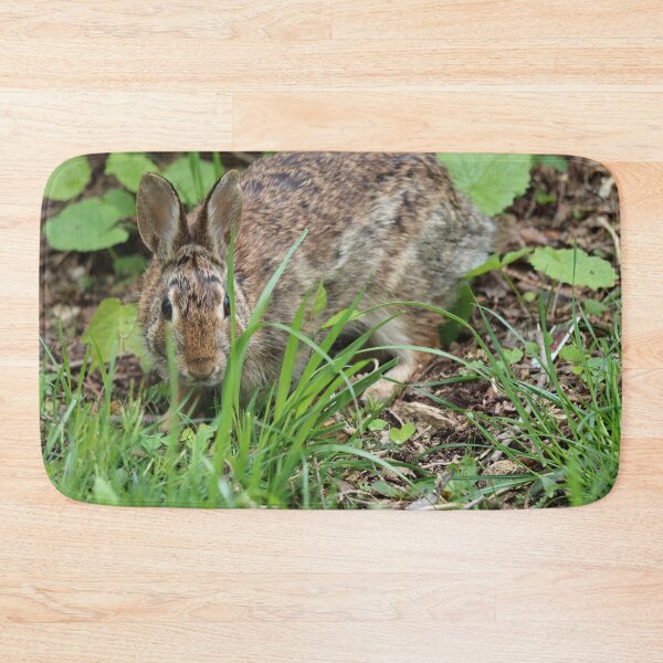 Item preview, Cottontail Peeking through Grass designed and sold by LisaNaturePhoto.