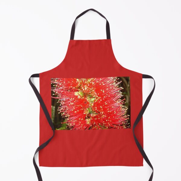 Item preview, Bottle Brush (Callistemon), NSW, Australia designed and sold by Cobargo South Coast.