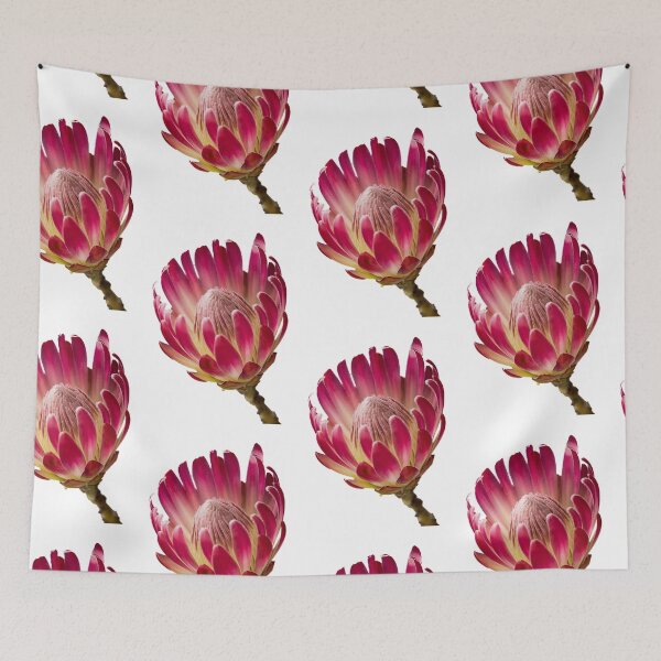 Item preview, Protea Flower designed and sold by OurGorgeouspets.