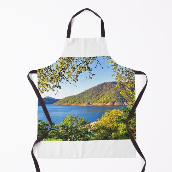 Item preview, Relaxing at Pine Flat Lake designed and sold by Diane Owens.
