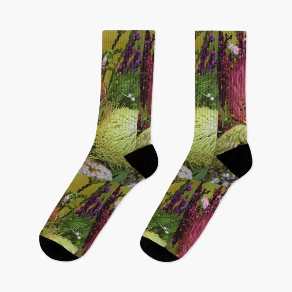 Item preview, Proteas, NSW, Australia designed and sold by Cobargo South Coast.