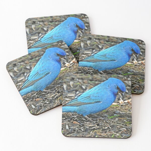 Item preview, male indigo bunting designed and sold by corinthiansgirl.