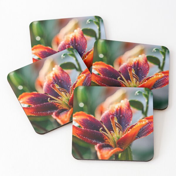 Item preview, Forever Susan Lily designed and sold by jillianbutolphphoto.