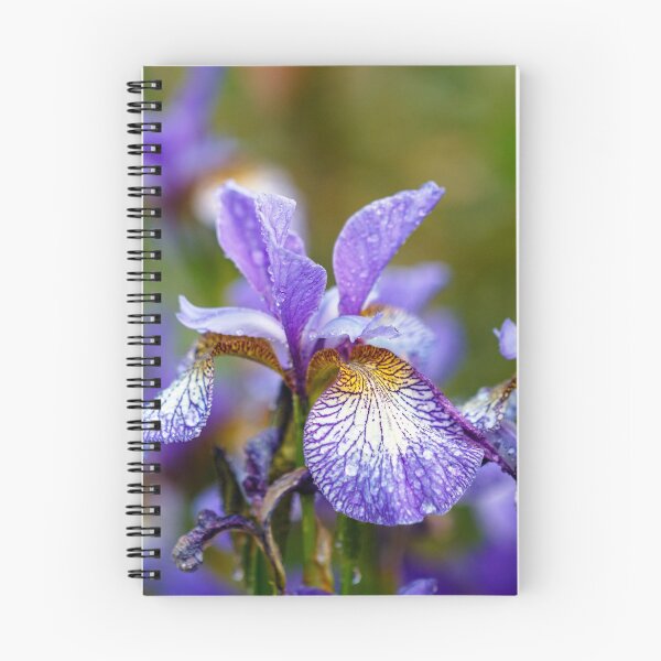 Item preview, Blue Siberian irises designed and sold by jillianbutolphphoto.