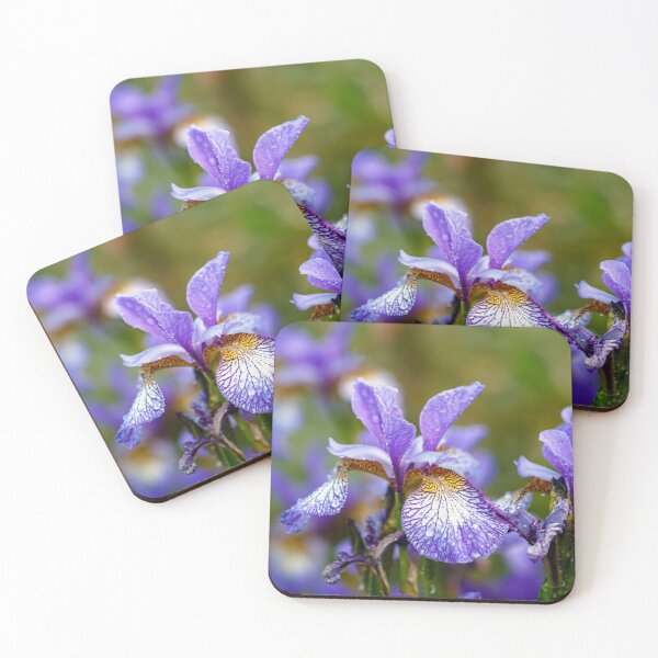 Item preview, Blue Siberian irises designed and sold by jillianbutolphphoto.