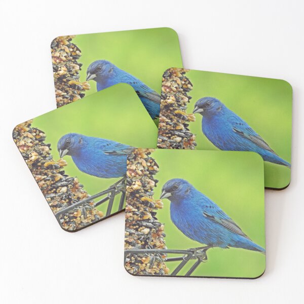 Item preview, male indigo bunting posing for picture designed and sold by corinthiansgirl.