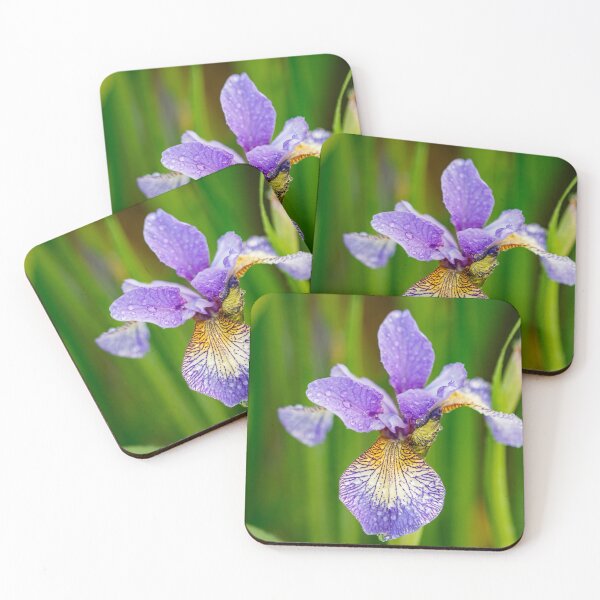 Item preview, Blue Siberian Iris designed and sold by jillianbutolphphoto.