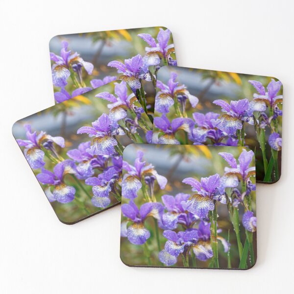 Item preview, Group of Siberian iris flowers designed and sold by jillianbutolphphoto.