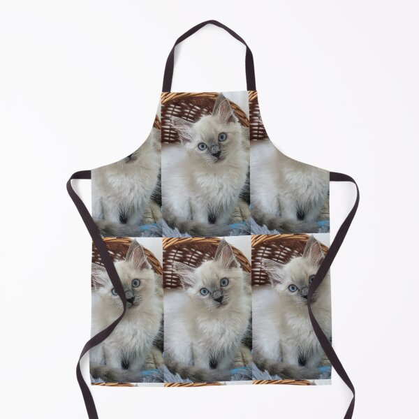 Item preview, Copy of Ragdoll kitten designed and sold by Fluffycat2020.