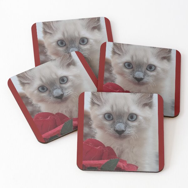 Item preview, Copy of Ragdoll kitten designed and sold by Fluffycat2020.