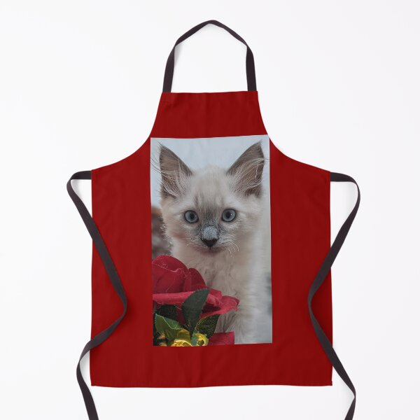 Item preview, Copy of Ragdoll kitten designed and sold by Fluffycat2020.