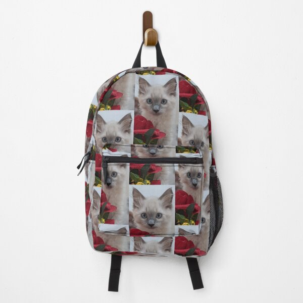 Item preview, Copy of Ragdoll kitten designed and sold by Fluffycat2020.