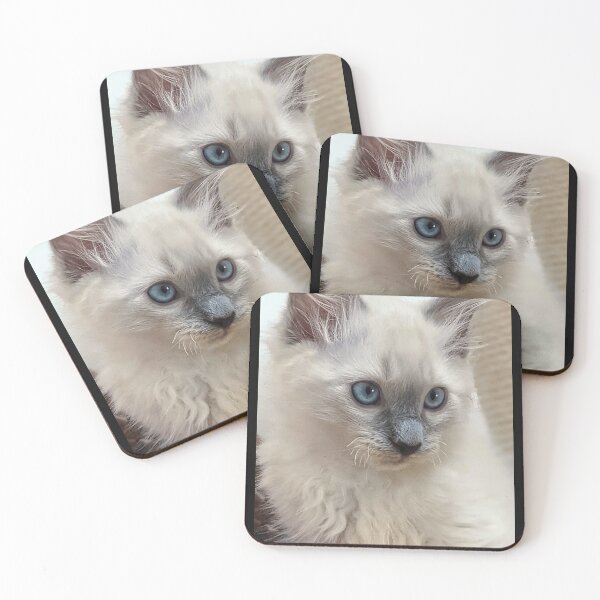 Item preview, Copy of Ragdoll kitten designed and sold by Fluffycat2020.