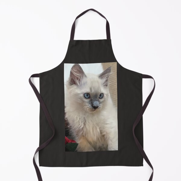 Item preview, Copy of Ragdoll kitten designed and sold by Fluffycat2020.