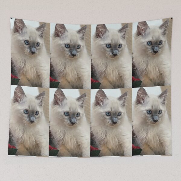 Aperçu de l'œuvre Copie de chaton Ragdoll créée et vendue par Fluffycat2020.