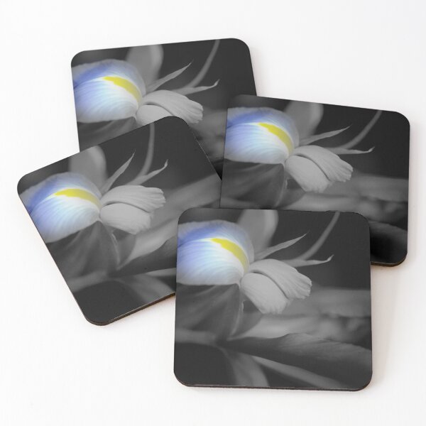 Item preview, Black and White Iris designed and sold by bloomingvine.