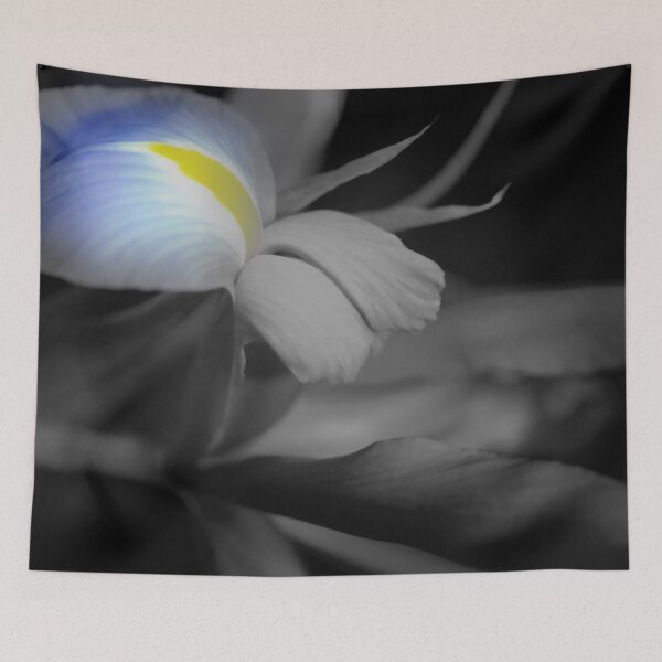 Item preview, Black and White Iris designed and sold by bloomingvine.