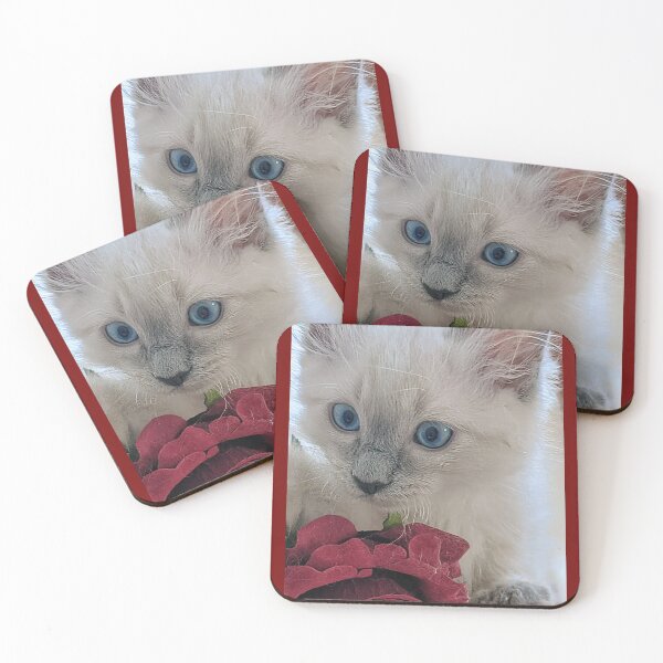 Item preview, Copy of Ragdoll kitten designed and sold by Fluffycat2020.