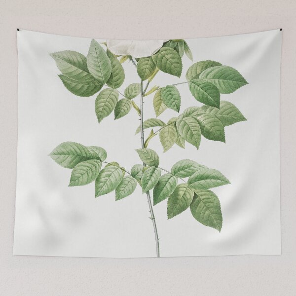 Item preview, Les Roses by Pierre-Joseph Redouté designed and sold by EsotericBotanic.