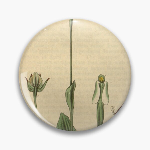 Item preview, Pterostylis nutans Curtis' 58 (N.S. 5) pl.3085 (1831) designed and sold by EsotericBotanic.