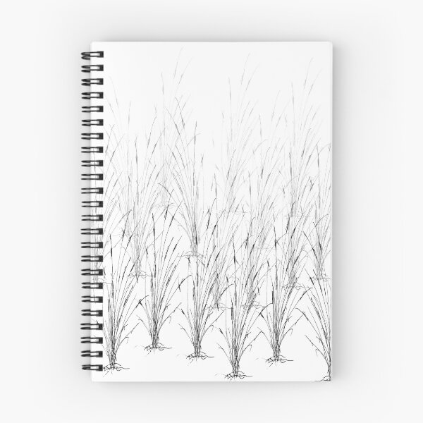 Item preview, Cattails designed and sold by Douglas E. Welch Design and Photography.