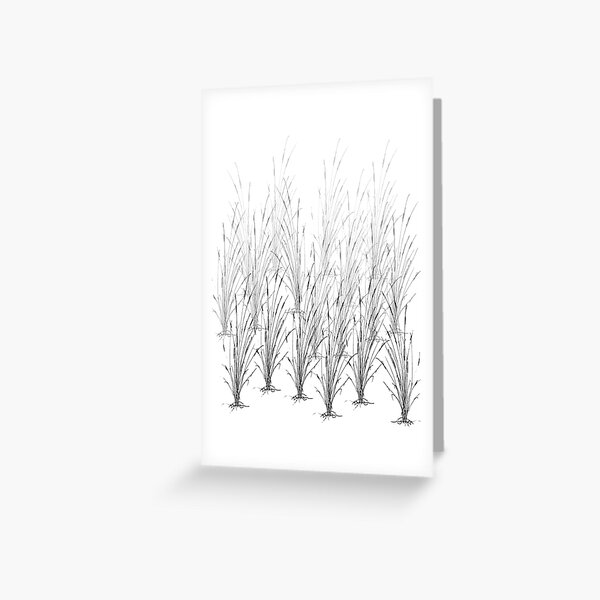 Cattails Greeting Card