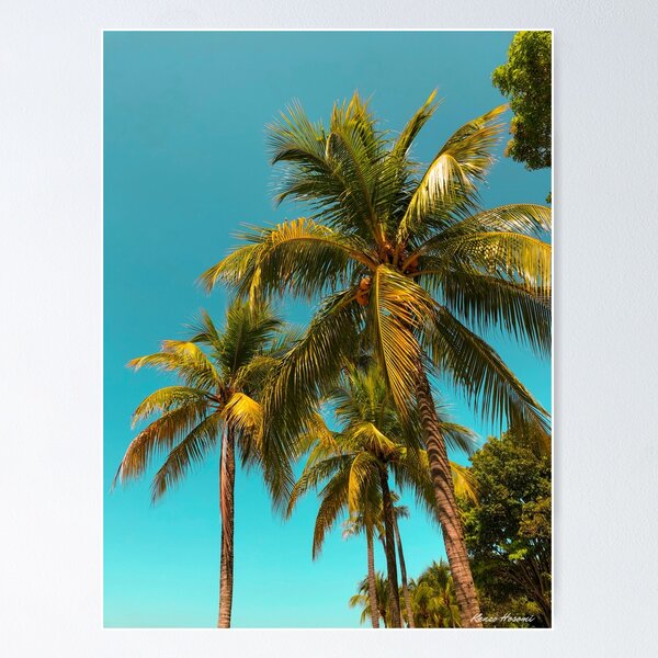 Item preview, Tropical summer palm trees designed and sold by Kenzo Hosomi.