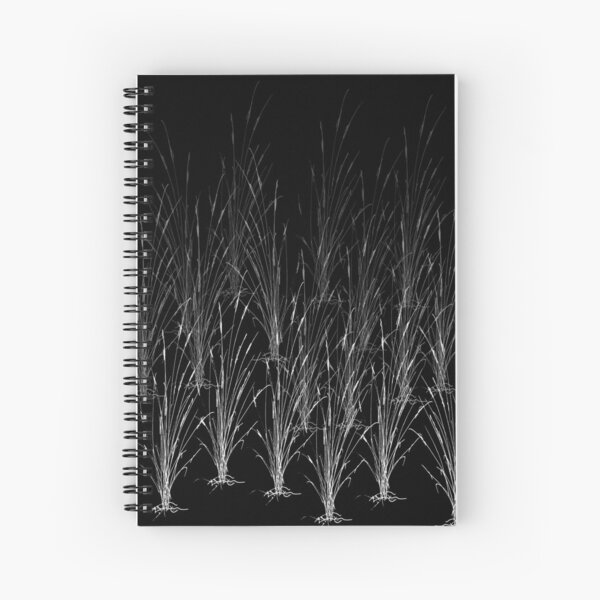 Cattails on Black and other colors Spiral Notebook