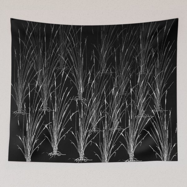 Item preview, Cattails on Black and other colors designed and sold by Douglas E. Welch Design and Photography.